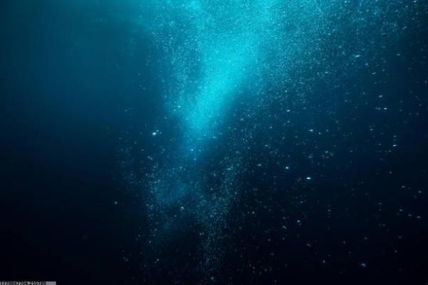 如何准备上海的青少年中考体育项目？(图1)